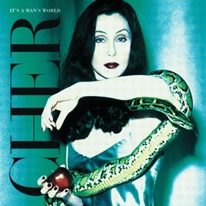 CHER - I WOULDN'T TREAT A DOG (THE WAY YOU TREATED ME)