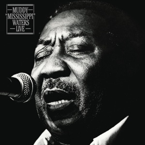 MUDDY WATERS - BABY PLEASE DON'T GO