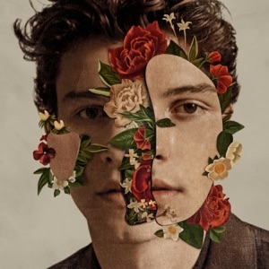 SHAWN MENDES - IN MY BLOOD