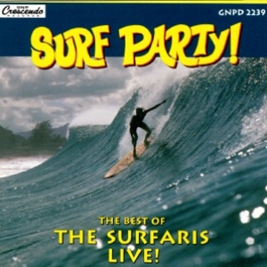 THE SURFARIS - Wipe Out